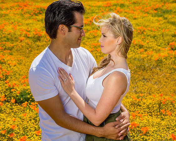 Enagegement & Couple Portraits
