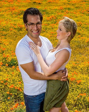 Enagegement & Couple Portraits