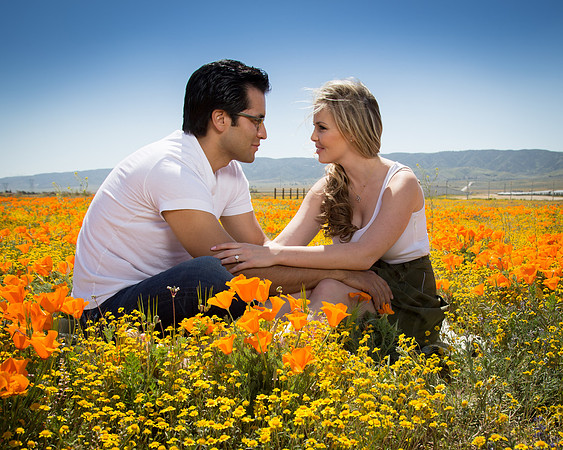 Enagegement & Couple Portraits