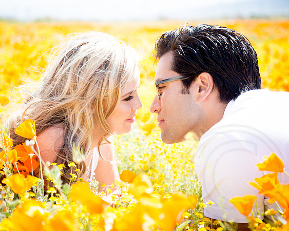 Enagegement & Couple Portraits