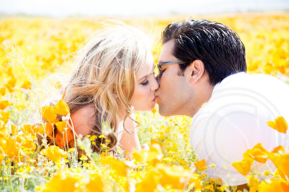 Enagegement & Couple Portraits