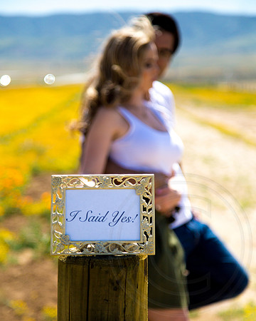 Enagegement & Couple Portraits