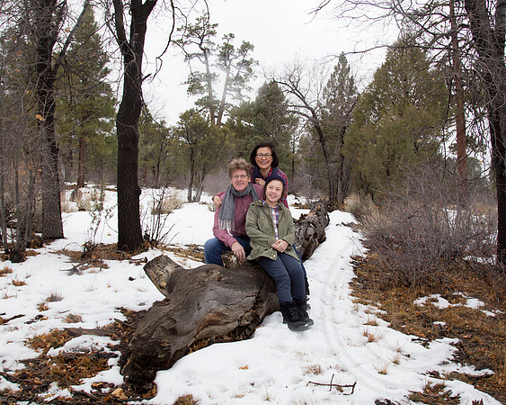 Family & Group Portraits